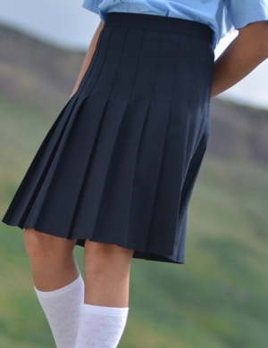 David Luke DL974 Junior Eco-Skirt - Grey (Years 3 -  6)